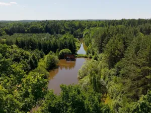 Prodej komerčního pozemku, Čejkovice, 121779 m2