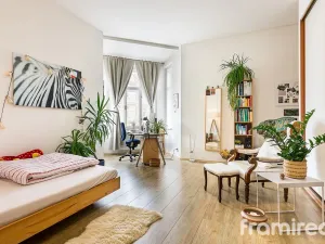 Pronájem bytu 1+kk, Brno, Gorkého, 27 m2