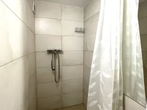 Pronájem obchodního prostoru, Ostrava - Vítkovice, Zengrova, 100 m2