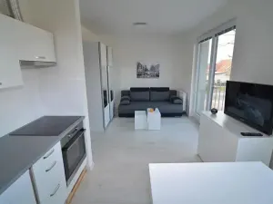 Pronájem bytu 1+kk, Vestec, U Hrubých, 35 m2