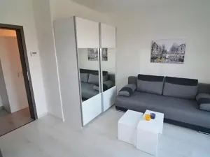 Pronájem bytu 1+kk, Vestec, U Hrubých, 35 m2