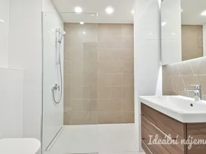 Pronájem bytu 1+kk, Brno, Koliště, 22 m2