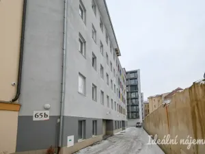 Pronájem bytu 1+kk, Brno, Koliště, 22 m2