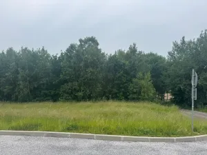 Prodej pozemku, Slavče - Dobrkovská Lhotka, 1251 m2