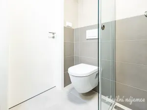 Pronájem bytu 2+kk, Únětice, Rýznerova, 44 m2