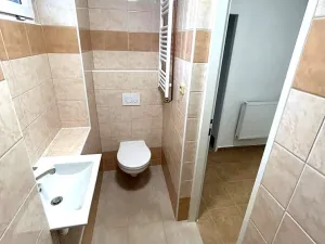 Pronájem bytu 1+1, Chodská Lhota, 34 m2