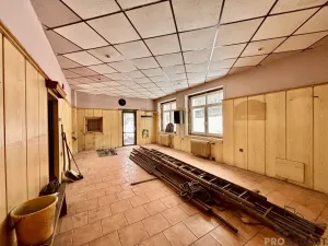 Prodej komerční nemovitosti, Hlubočky, Nádražní, 167 m2