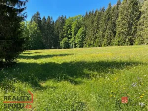 Prodej louky, Železná Ruda, 3475 m2