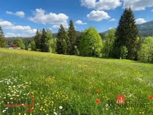 Prodej louky, Železná Ruda, 3475 m2