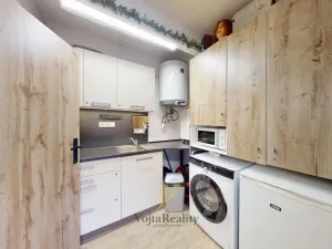 Pronájem obchodního prostoru, Olomouc - Hodolany, Březinova, 21 m2