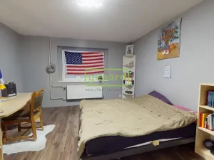 Prodej rodinného domu, Litvínov, Mlýnská, 250 m2