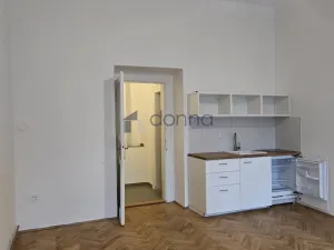 Pronájem bytu 1+kk, Praha, Spálená, 30 m2