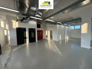 Pronájem skladu, Měšice, Nádražní, 435 m2