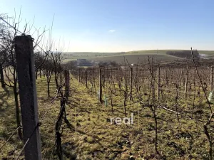 Prodej pozemku, Svatobořice-Mistřín, 3501 m2