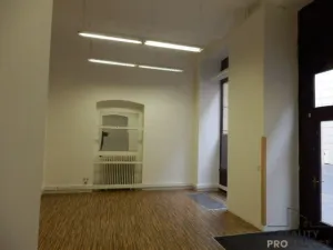 Pronájem restaurace, Brno - Brno-město, 105 m2