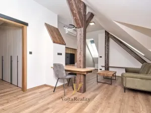 Pronájem bytu 1+kk, Olomouc - Hodolany, Blanická, 55 m2