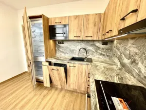 Prodej bytu 1+1, Ostrava - Hrabůvka, Dr. Martínka, 37 m2