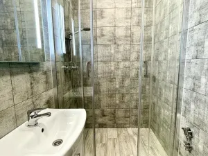 Prodej bytu 1+1, Ostrava - Hrabůvka, Dr. Martínka, 37 m2