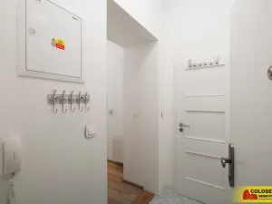 Prodej bytu 2+1, Brno - Veveří, 67 m2