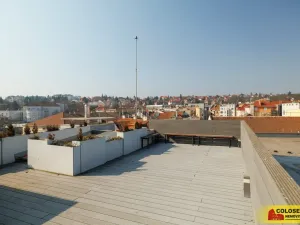 Prodej bytu 2+1, Brno - Veveří, 67 m2