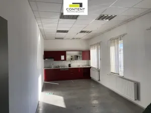 Pronájem výrobních prostor, Lysá nad Labem - Litol, Mírová, 4726 m2