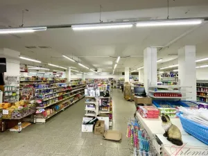 Pronájem obchodního prostoru, Havířov - Šumbark, Ladova, 1587 m2