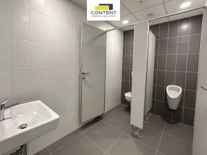 Pronájem výrobních prostor, Praha - Horní Počernice, K Bílému vrchu, 1100 m2