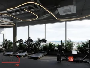 Prodej bytu 2+kk, Plzeň - Jižní Předměstí, náměstí Českých bratří, 55 m2