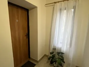 Pronájem bytu 1+1, Tršice - Hostkovice, 48 m2