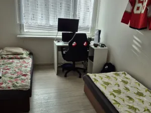 Prodej bytu 2+kk, Kladno - Kročehlavy, Na růžovém poli, 42 m2