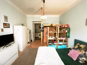 Pronájem bytu 1+kk, Praha - Vršovice, Orelská, 26 m2