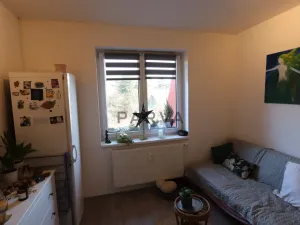 Prodej bytu 1+kk, Starý Plzenec, Herejkova, 37 m2