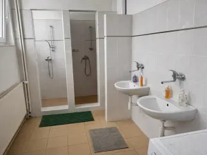 Prodej obchodního prostoru, Klatovy, Janovická, 4589 m2