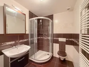 Pronájem bytu 2+kk, České Budějovice - České Budějovice 3, B. Smetany, 47 m2