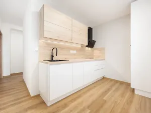 Prodej bytu 1+1, Brno, Svatopluka Čecha, 40 m2