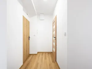 Prodej bytu 1+1, Brno, Svatopluka Čecha, 40 m2