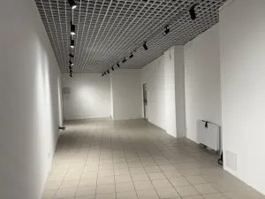 Pronájem obchodního prostoru, Brno - Brno-město, náměstí Svobody, 47 m2