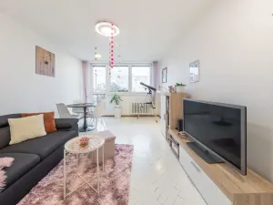 Pronájem bytu 2+1, Ostrava, Mánesova, 55 m2