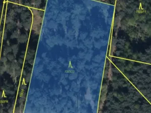 Prodej lesa, Veliny, 4517 m2