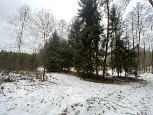 Prodej pozemku, Veliny, 1630 m2