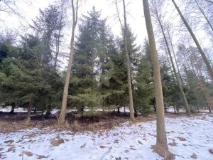 Prodej pozemku, Veliny, 1630 m2