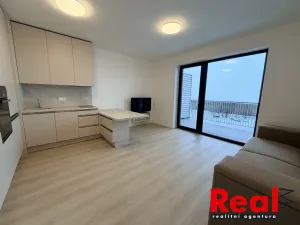 Pronájem bytu 1+kk, Mokrá-Horákov - Mokrá, 30 m2