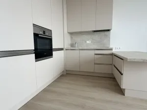 Pronájem bytu 1+kk, Mokrá-Horákov - Mokrá, 30 m2