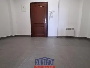 Pronájem bytu 2+1, České Budějovice - České Budějovice 1, 103 m2