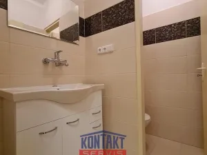 Pronájem bytu 2+1, České Budějovice - České Budějovice 1, 103 m2