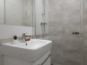 Prodej bytu 2+kk, Ostrava - Michálkovice, Československé armády, 55 m2