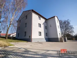 Prodej bytu 2+kk, Ostrava - Michálkovice, Československé armády, 55 m2