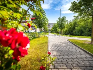 Prodej bytu 2+kk, České Budějovice - České Budějovice 2, Husova tř., 50 m2