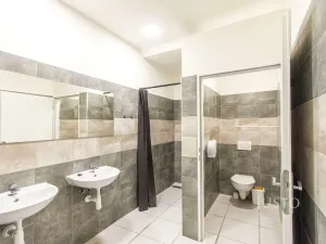 Prodej výrobních prostor, Horní Suchá, Důlní, 1056 m2