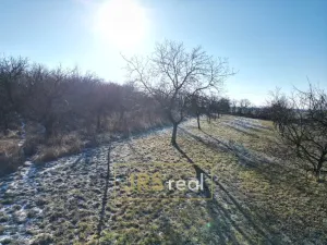 Prodej pozemku, Ostrožská Nová Ves, 982 m2